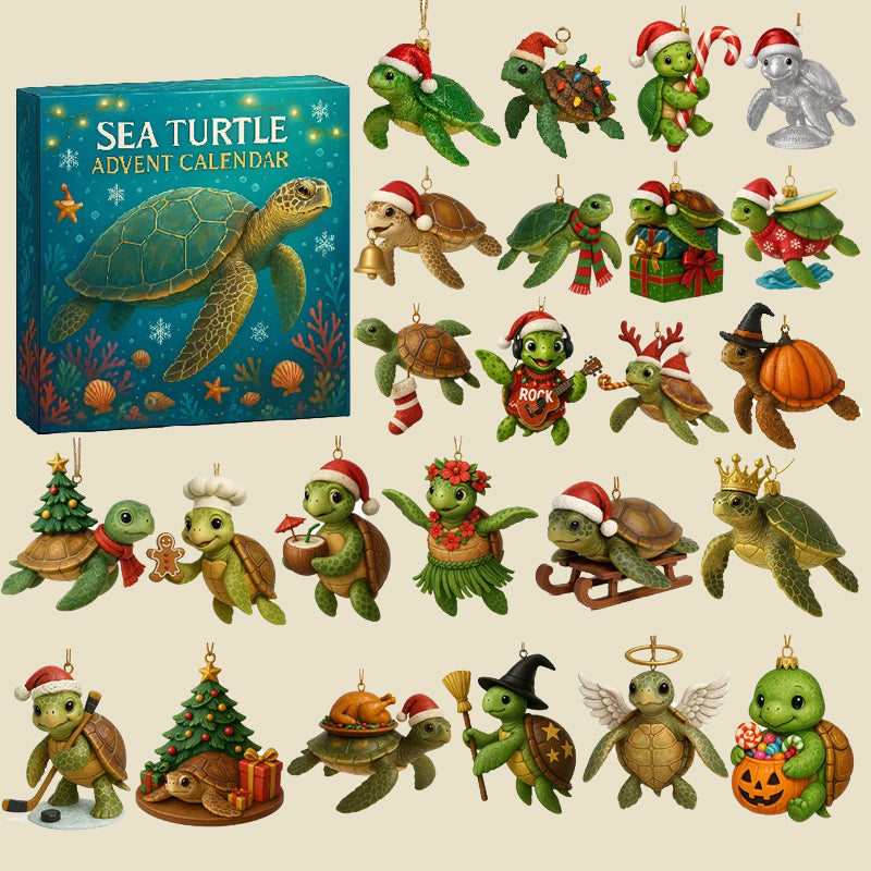 🌊🐢 Tengeri teknős adventi naptár 2025