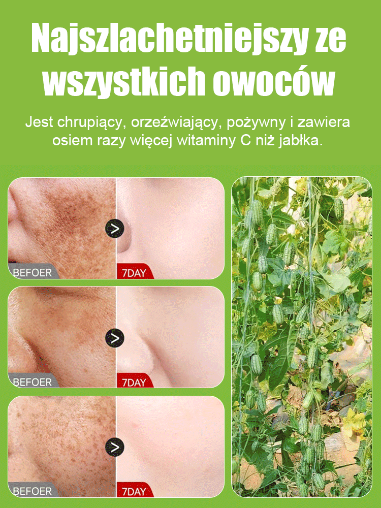 Egyszerűen termeszthető: mexikói uborka
