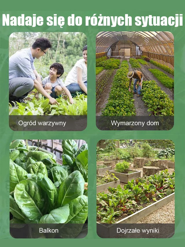 Egyszerűen termeszthető: mexikói uborka