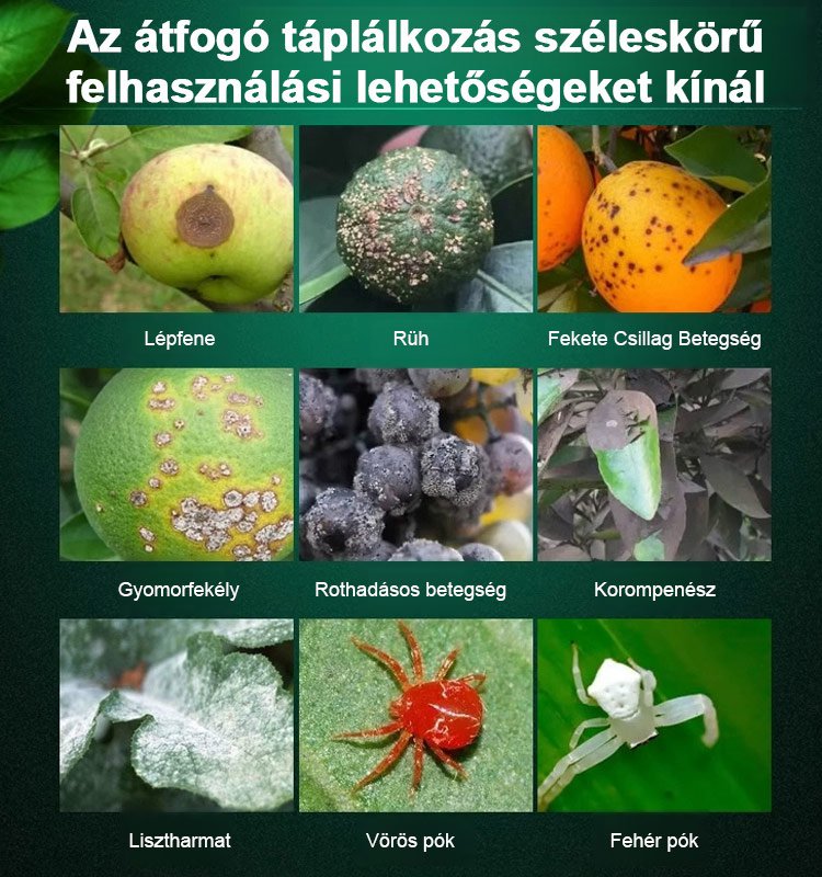 1000 kg vízzel hígított egy üveg növényi gyümölcsfa tisztítószer