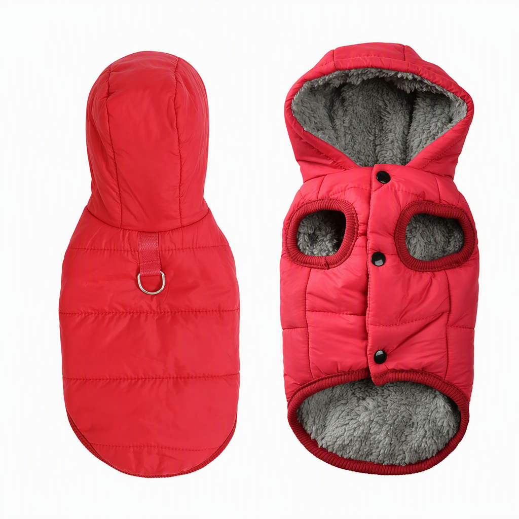 🐾 ✨ Kapucnis kutyakabát – béléses gyapjúval, szélálló 🧥