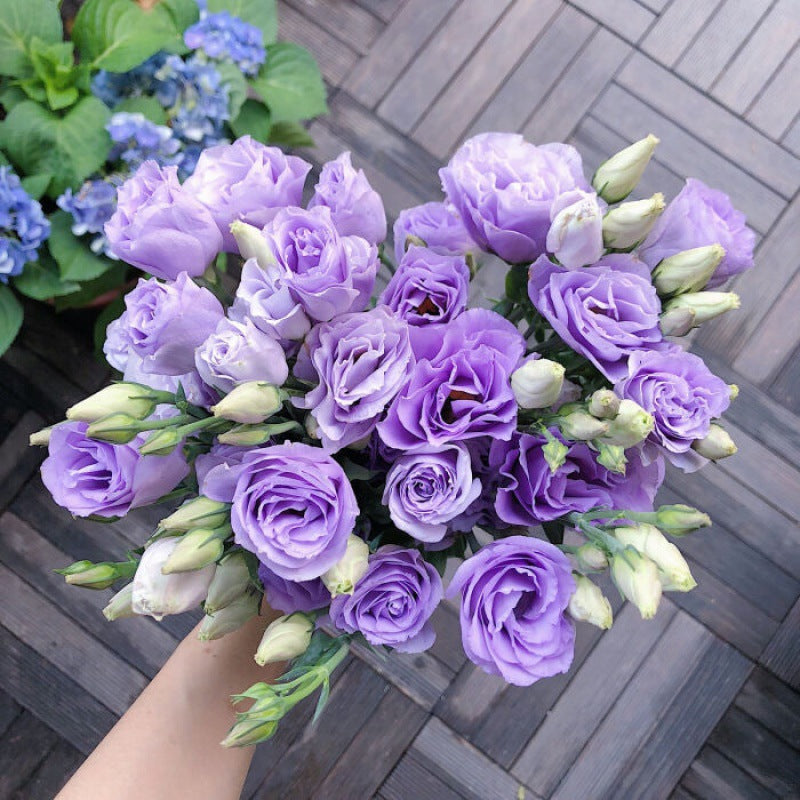 [Virágok fagyos télen is] Kiváló minőségű lisianthus magok [Legalacsonyabb árak online] Korlátozott vásárlási idő, 80% kedvezmény!!! Meglepetés vár rád!