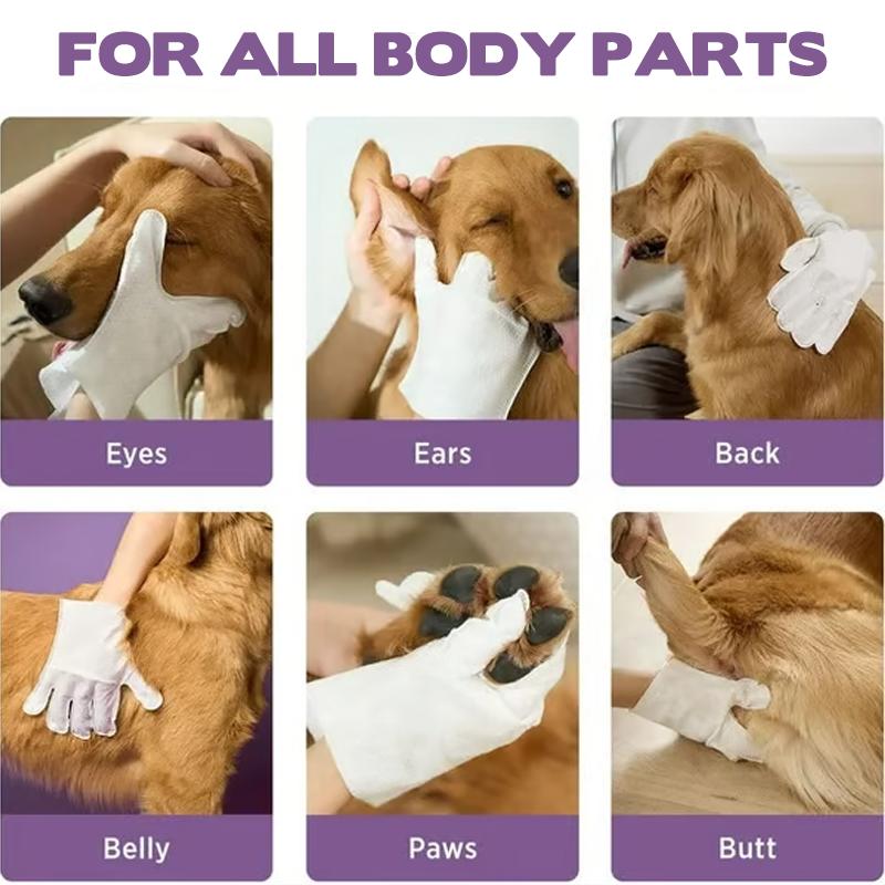 🐶Öblítésmentes kisállattisztító szagtalanító kesztyűk