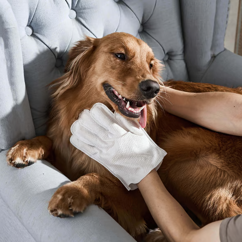 🐶Öblítésmentes kisállattisztító szagtalanító kesztyűk