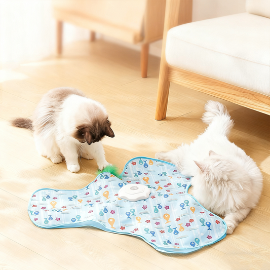 🐈 macskáknak 2 az 1-ben bújócska
